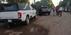 Un joven muere al caerle el tronco de un &aacute;rbol encima, en El Fuerte