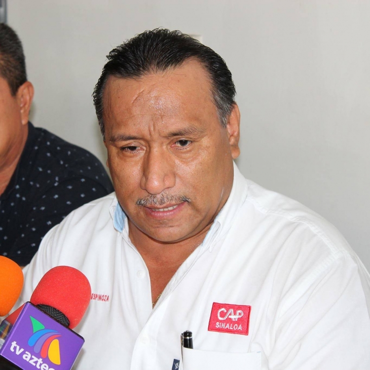 Proponen productores de ma&iacute;z un precio base de 65 d&oacute;lares, afirm&oacute; el CAP