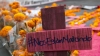 Feminicidio en Argentina: una mujer es asesinada por su ex pareja tras celebrar el triunfo de la selecci&oacute;n en el mundial