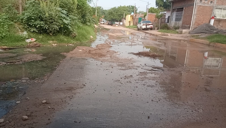 Vecinos de Las Cucas exigen al Ayuntamiento reparar drenaje por pestilencia de aguas negras