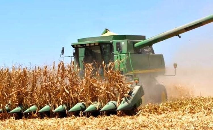 Mañana inicia el registro ante SEGALMEX para productores de maíz: SAyG