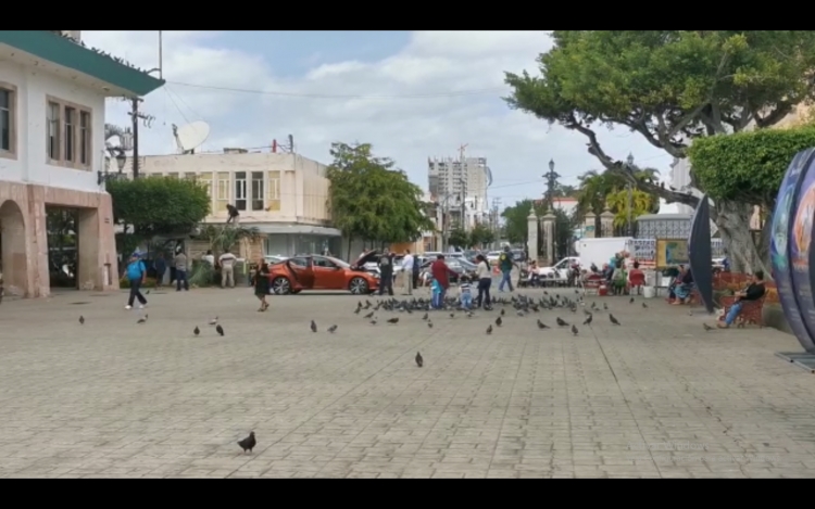 Bajarán las temperaturas en el puerto