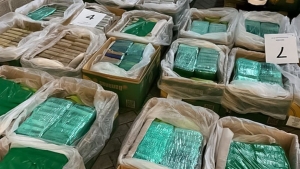 Encuentran toneladas de coca&iacute;na oculta entre pl&aacute;tanos en Londres
