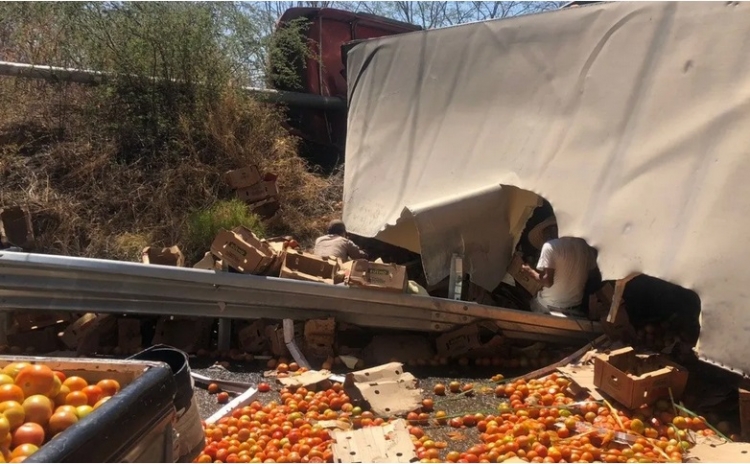 Muere chofer de tráiler cargado de tomate en aparatosa volcadura sobre carretera Mazatlán-Durango