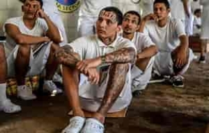 Más de 7 mil criminales deportados en primera semana de la administración de Trump