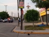 Deja el fin semana 11 muertes en hechos violentos y accidentes en Sinaloa