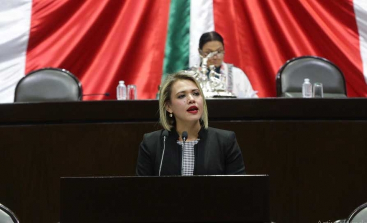 Ilegal recorte de 151 mdp al presupuesto del INMUJERES: &Eacute;rika S&aacute;nchez