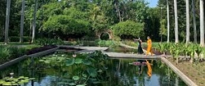 Promueven amparo contra el gobernador por renovar concesi&oacute;n del Jard&iacute;n Bot&aacute;nico