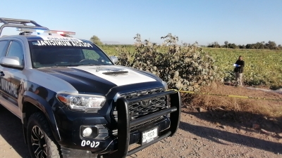 Hallan a un hombre sin vida y con huellas de tortura en la comunidad de Bellavista perteneciente a la sindicatura de Culiacancito