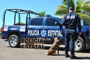 Llamada en falso alerto a los cuerpos de seguridad por camionazo