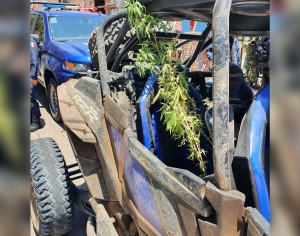 Tras persecuci&oacute;n, Polic&iacute;as Estatales aseguran razer y plantas de mariguana, en Culiac&aacute;n