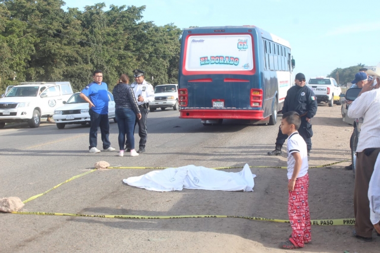 Horrible muerte de una adulta mayor en la carretera Culiacán-Eldorado