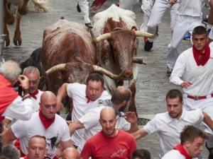 Con 6 heridos, inician corridas de toros de las fiestas patronales de San Ferm&iacute;n en Espa&ntilde;a