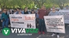 Exigen maestros al Congreso reformas que garanticen un retiro digno