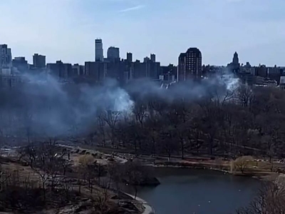 Se registran m&aacute;s de 10 incendios forestales en Central Park