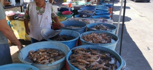 Bajan las ventas hasta del 30 por ciento en mariscos