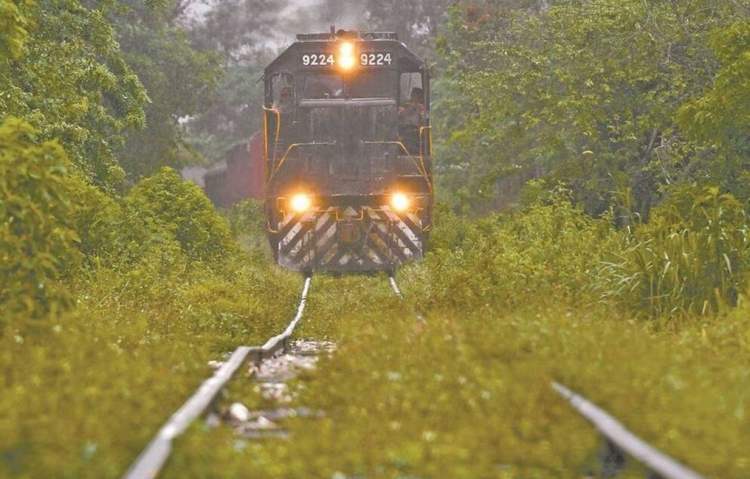 Marina toma instalaciones de Grupo M&eacute;xico en Coatzacoalcos; expropian tramo del tren de Larrea en Veracruz