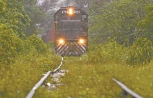 Marina toma instalaciones de Grupo M&eacute;xico en Coatzacoalcos; expropian tramo del tren de Larrea en Veracruz