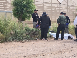 Un hombre es localizado asesinado a balazos en campo Morole&oacute;n en Aguaruto en Culiac&aacute;n