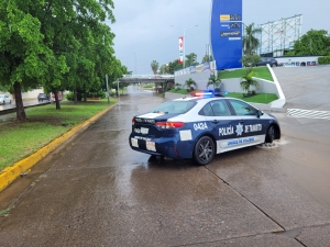 Cae &aacute;rbol sobre un veh&iacute;culo y la corriente arrastra a una persona en el Centro durante la lluvia, en Culiac&aacute;n
