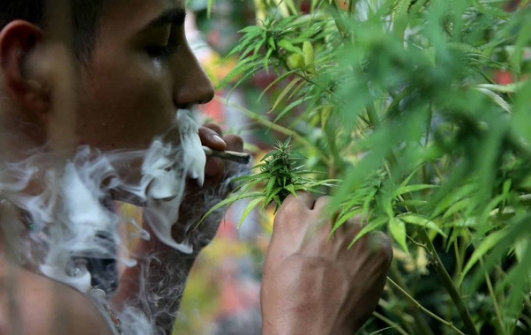 SCJN permite la posesión de más de 5 gramos de mariguana