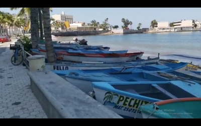 Se quejan pescadores de baja producci&oacute;n por los chinchorros