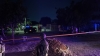 RESUMEN: 10 personas asesinadas, 3 'levantadas' y 2 autos robados en Sinaloa, el saldo rojo del 25 Junio 2026