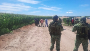 Ni&ntilde;a hallada en el municipio de Juan Jos&eacute; R&iacute;os podr&iacute;a haber fallecido por enfermedad respiratoria, seg&uacute;n FGE