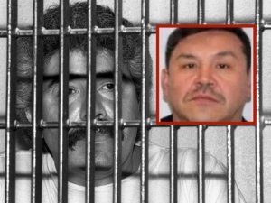 Desmienten captura y liberación de José Gil, sobrino de Caro Quintero, en Quintana Roo