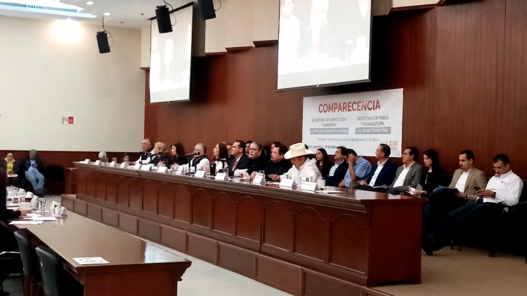 No llegan los recursos para el programa de recuperaci&oacute;n zoosanitaria: Tarriba