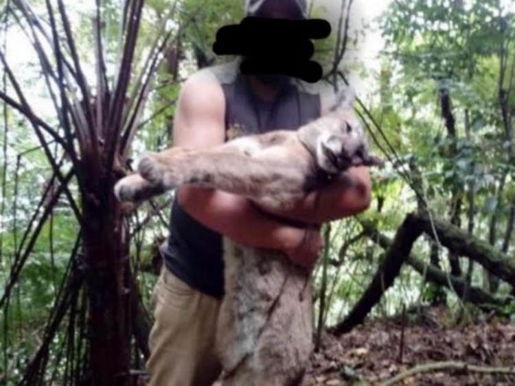 Cazador mata a puma en Hidalgo y lo muestra como trofeo