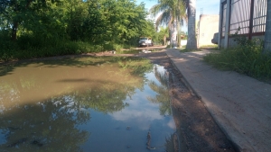 Denuncian a las autoridades municipales por destruirles la calle
