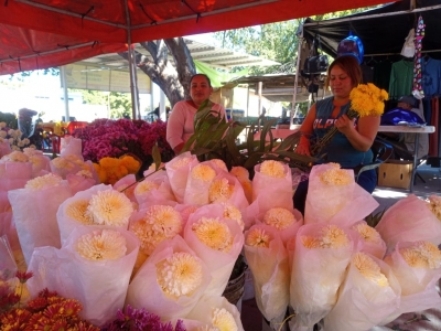 Navolato otorga permisos para ventas de flores en v&iacute;a p&uacute;blica