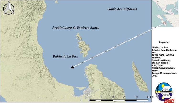 Avioneta procedente de Guaymas se desploma en la bah&iacute;a de La Paz