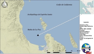 Avioneta procedente de Guaymas se desploma en la bahía de La Paz