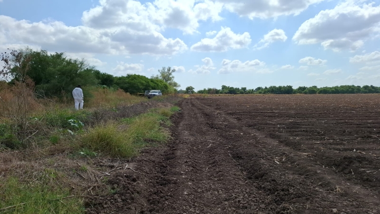 Hallan restos óseos humanos en zona rural de Navolato, en la localidad de &#039;Los Alamitos&#039;