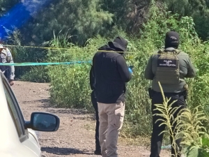 RESUMEN: 3 personas asesinadas y un auto robado en Sinaloa, el saldo rojo del 16 Agosto 2026