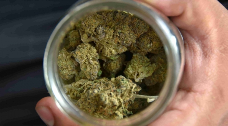 Nueva York legaliza oficialmente la marihuana para uso recreativo