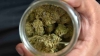 Nueva York legaliza oficialmente la marihuana para uso recreativo