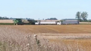 "Una completa pesadilla": Cuatro familiares muertos en campo de trigo de Dakota del Norte luego de un posible asesinato-suicidio