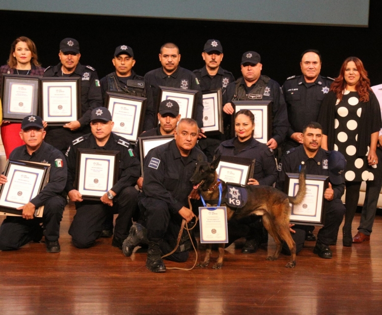 Alturas del Sur, L&aacute;zaro C&aacute;rdenas, Zapata y  Barrancos, las colonias con m&aacute;s llamadas al 911