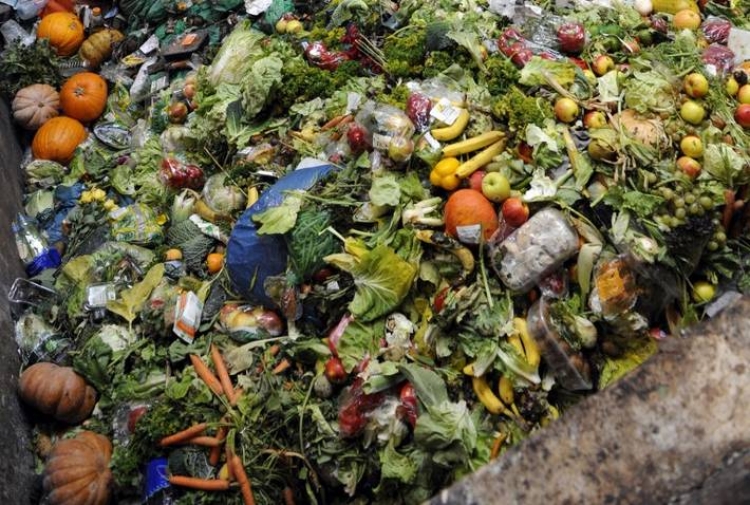 Casi el 20% de los alimentos disponibles en el mundo se desperdician al año, revela ONU