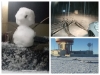 &iexcl;Nevad&oacute;n! Amanecen en Nuevo Le&oacute;n hasta con 9 cent&iacute;metros de nieve