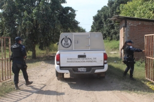 El cuerpo de una mujer asesinada fue localizado en huerta de mangos en Navolato