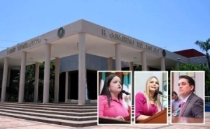 PRI da inicio al proceso de expulsi&oacute;n de Cinthia Valenzuela, Connie Zazueta y Ricardo Madrid