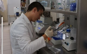 Registra la UAS un crecimiento del 31% en sus programas reconocidos en el Sistema Nacional de Posgrado