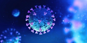 Concluyen OMS y China que origen animal del Covid es lo &ldquo;m&aacute;s probable&rdquo;