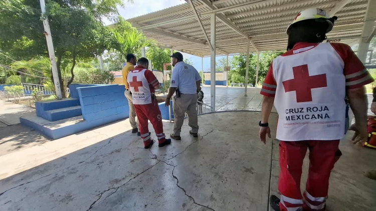 6 alumnos resultan con picaduras de abeja en Primaria de Culiac&aacute;n, tras el regreso a clases