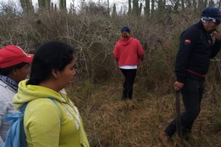Rastreadoras descubren 6 osamentas en El Guachapori, Ahome