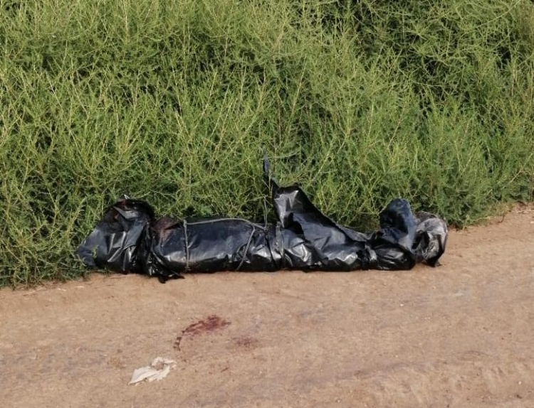 Abandonan embolsados cadáveres de dos personas asesinadas en El Carrizo